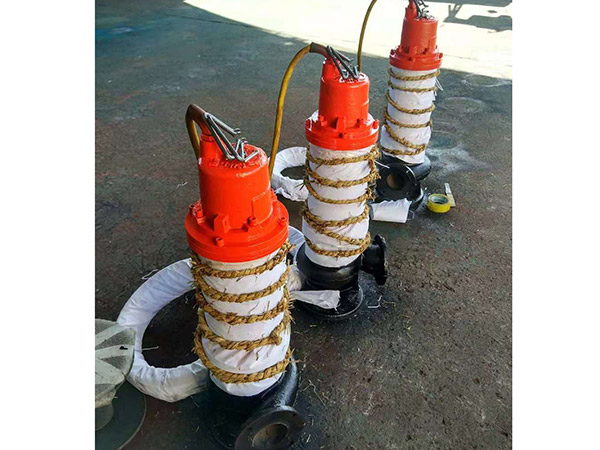 NSQ4級防爆泥沙泵